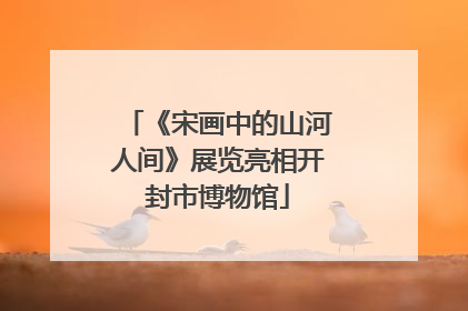 《宋画中的山河人间》展览亮相开封市博物馆