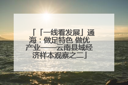 「一线看发展」通海：做足特色 做优产业——云南县域经济样本观察之二