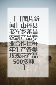 「图片新闻」山丹县老军乡蕃昌农副产品专业合作社每年生产各类玫瑰花产品500多吨