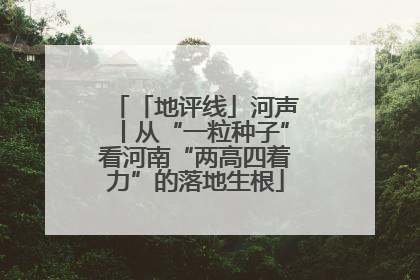 「地评线」河声丨从“一粒种子”看河南“两高四着力”的落地生根