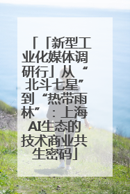 「新型工业化媒体调研行」从“北斗七星”到“热带雨林”：上海AI生态的技术商业共生密码