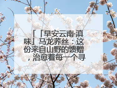 「早安云南·滇味」马龙荞丝：这份来自山野的馈赠，治愈着每一个寻味的游人