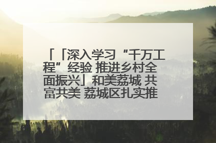 「深入学习“千万工程”经验 推进乡村全面振兴」和美荔城 共富共美 荔城区扎实推进乡村振兴工作
