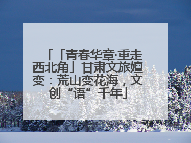 「青春华章·重走西北角」甘肃文旅嬗变：荒山变花海，文创“语”千年