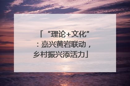 “理论+文化”：嘉兴黄岩联动，乡村振兴添活力