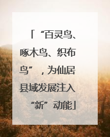 “百灵鸟、啄木鸟、织布鸟”，为仙居县域发展注入“新”动能