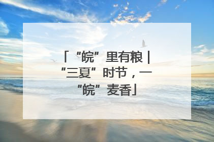 “皖”里有粮｜“三夏”时节，一“皖”麦香