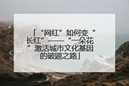 “网红”如何变“长红”——“一朵花”激活城市文化基因的破题之路