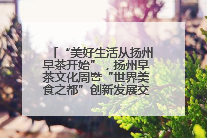 “美好生活从扬州早茶开始”，扬州早茶文化周暨“世界美食之都”创新发展交流活动启幕