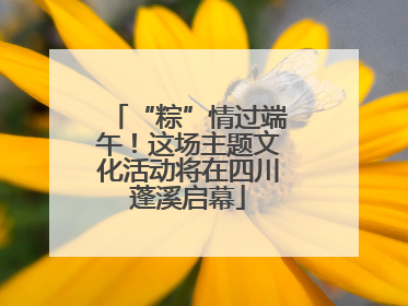 “粽”情过端午！这场主题文化活动将在四川蓬溪启幕