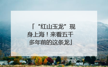 “红山玉龙”现身上海！来看五千多年前的这条龙