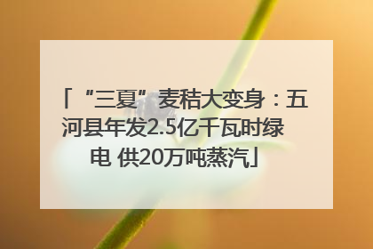 “三夏”麦秸大变身：五河县年发2.5亿千瓦时绿电 供20万吨蒸汽