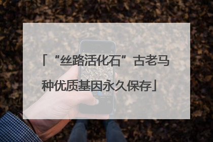 “丝路活化石”古老马种优质基因永久保存
