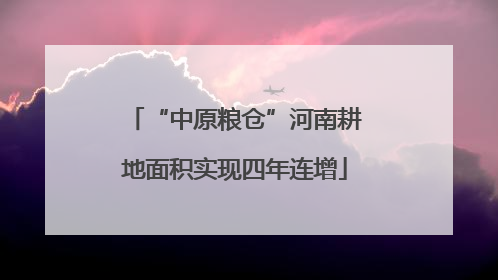 “中原粮仓”河南耕地面积实现四年连增