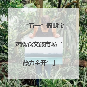 “五一”假期宝鸡陈仓文旅市场“热力全开”