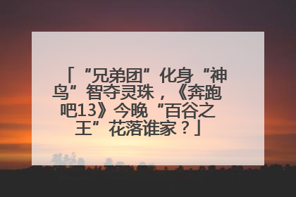 “兄弟团”化身“神鸟”智夺灵珠，《奔跑吧13》今晚“百谷之王”花落谁家？