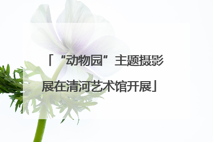“动物园”主题摄影展在清河艺术馆开展