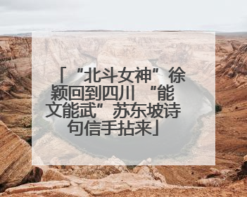 “北斗女神”徐颖回到四川 “能文能武”苏东坡诗句信手拈来