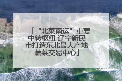 “北菜南运”重要中转枢纽 辽宁新民市打造东北最大产地蔬菜交易中心
