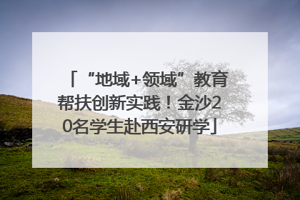 “地域+领域”教育帮扶创新实践！金沙20名学生赴西安研学