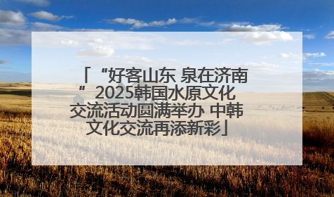 “好客山东 泉在济南”2025韩国水原文化交流活动圆满举办 中韩文化交流再添新彩