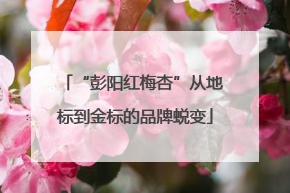 “彭阳红梅杏”从地标到金标的品牌蜕变