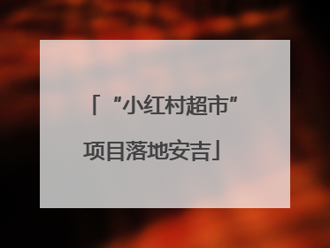 “小红村超市”项目落地安吉