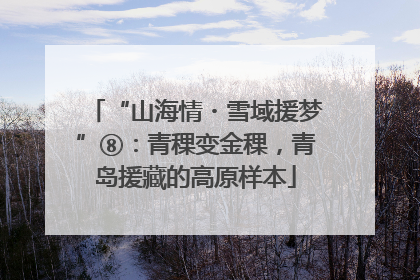 “山海情・雪域援梦”⑧：青稞变金稞，青岛援藏的高原样本