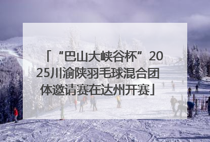 “巴山大峡谷杯”2025川渝陕羽毛球混合团体邀请赛在达州开赛
