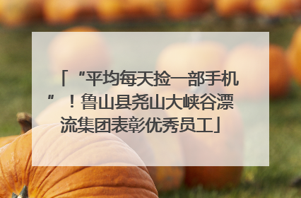 “平均每天捡一部手机”！鲁山县尧山大峡谷漂流集团表彰优秀员工