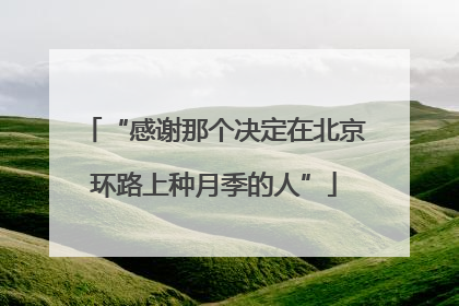 “感谢那个决定在北京环路上种月季的人”