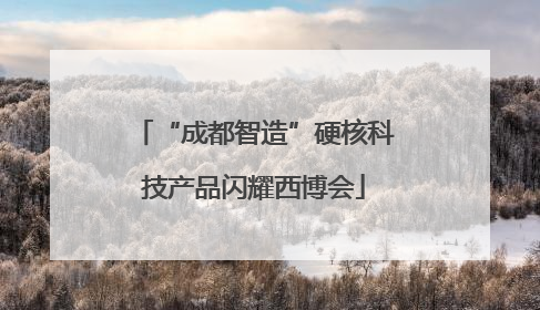 “成都智造”硬核科技产品闪耀西博会
