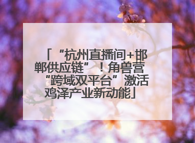 “杭州直播间+邯郸供应链”！角兽营“跨域双平台”激活鸡泽产业新动能