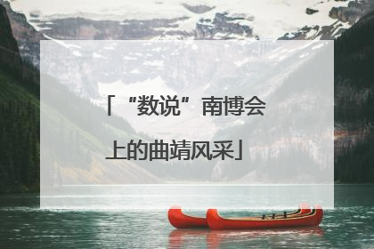 “数说”南博会上的曲靖风采