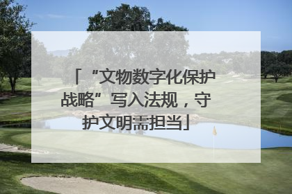 “文物数字化保护战略”写入法规，守护文明需担当