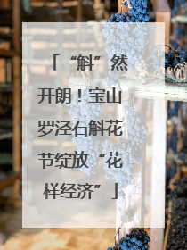“斛”然开朗！宝山罗泾石斛花节绽放“花样经济”