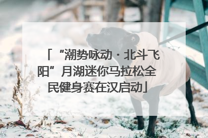 “潮势咏动・北斗飞阳”月湖迷你马拉松全民健身赛在汉启动