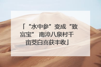 “水中参”变成“致富宝” 南漳八泉村千亩茭白喜获丰收