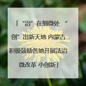 “治”在细微处 “创”出新天地 内蒙古积极鼓励各地开展法治微改革 小创新
