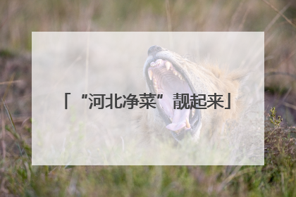 “河北净菜”靓起来