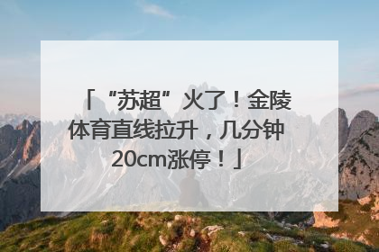 “苏超”火了！金陵体育直线拉升，几分钟20cm涨停！