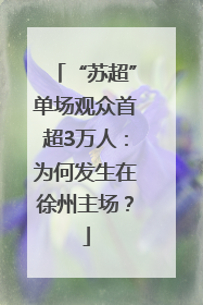 “苏超”单场观众首超3万人：为何发生在徐州主场？