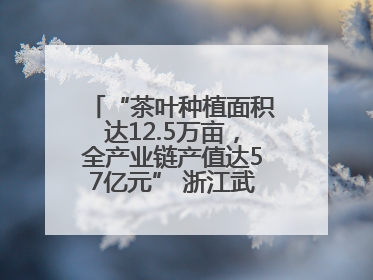 “茶叶种植面积达12.5万亩，全产业链产值达57亿元” 浙江武义茶产业全链发展“加速度”