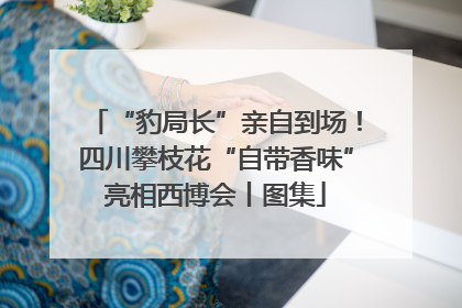 “豹局长”亲自到场！四川攀枝花“自带香味”亮相西博会丨图集