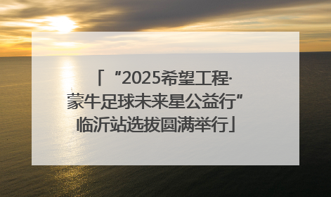 “2025希望工程·蒙牛足球未来星公益行”临沂站选拔圆满举行
