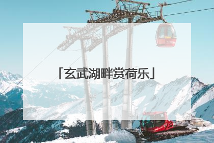 玄武湖畔赏荷乐