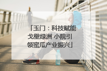 玉门：科技赋能戈壁绿洲 小院引领蜜瓜产业振兴