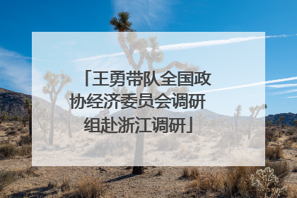 王勇带队全国政协经济委员会调研组赴浙江调研