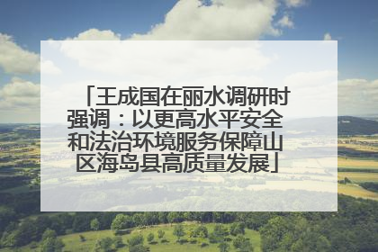 王成国在丽水调研时强调：以更高水平安全和法治环境服务保障山区海岛县高质量发展