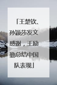 王楚钦、孙颖莎发文感谢，王励勤总结中国队表现